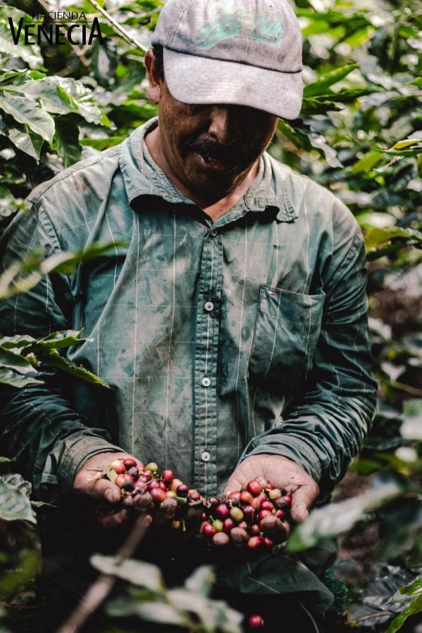 Hacienda Venecia Coffee Farm Hotel