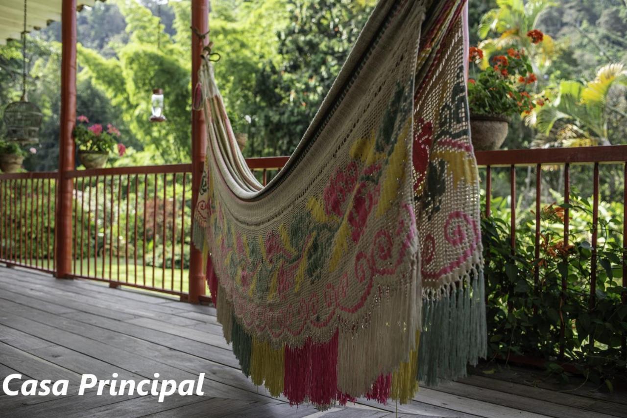 Hotel Hacienda Venecia Coffee Farm